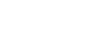 Emerce100