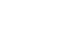 Emerce100