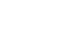 Leadinfo Certified Partner