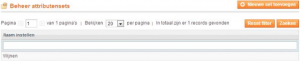 Screenshot overzicht attributensets Magento 1