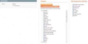 Screenshot groepen attributensets Magento 1